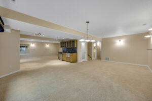 Basement Living Area